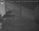 Capi_Dubne_20250611_015502.jpg