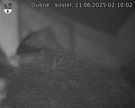 Capi_Dubne_20250611_021002.jpg