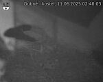 Capi_Dubne_20250611_024003.jpg
