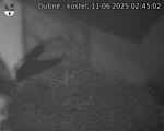 Capi_Dubne_20250611_024502.jpg