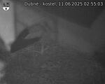 Capi_Dubne_20250611_025503.jpg