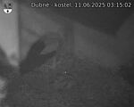 Capi_Dubne_20250611_031502.jpg