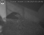 Capi_Dubne_20250611_032002.jpg