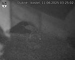 Capi_Dubne_20250611_032502.jpg