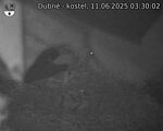 Capi_Dubne_20250611_033002.jpg