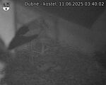 Capi_Dubne_20250611_034002.jpg