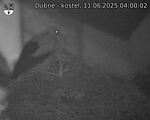 Capi_Dubne_20250611_040002.jpg