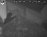 Capi_Dubne_20250611_041003.jpg