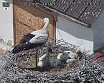 Capi_Dubne_20250611_130502.jpg