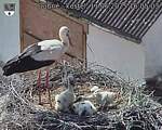 Capi_Dubne_20250611_160503.jpg