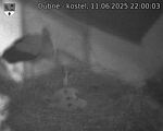 Capi_Dubne_20250611_220003.jpg