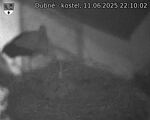 Capi_Dubne_20250611_221002.jpg