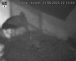 Capi_Dubne_20250611_221503.jpg