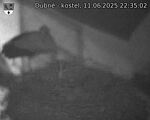 Capi_Dubne_20250611_223502.jpg