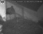 Capi_Dubne_20250611_230002.jpg