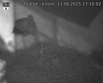 Capi_Dubne_20250611_231002.jpg