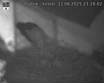 Capi_Dubne_20250611_232002.jpg