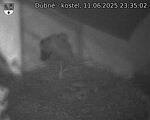 Capi_Dubne_20250611_233502.jpg