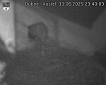 Capi_Dubne_20250611_234003.jpg