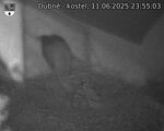 Capi_Dubne_20250611_235503.jpg