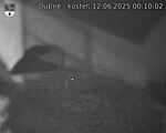 Capi_Dubne_20250612_001002.jpg