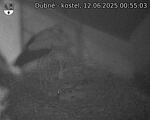 Capi_Dubne_20250612_005503.jpg