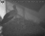 Capi_Dubne_20250612_222503.jpg