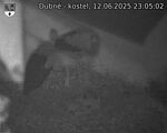 Capi_Dubne_20250612_230502.jpg