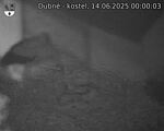 Capi_Dubne_20250614_000003.jpg