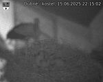 Capi_Dubne_20250615_221502.jpg