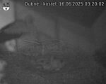 Capi_Dubne_20250616_032002.jpg
