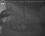 Capi_Dubne_20250616_034502.jpg