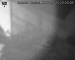 Capi_Dubne_20250616_232503.jpg