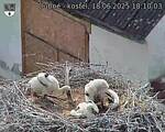 Capi_Dubne_20250618_181003.jpg