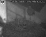 Capi_Dubne_20250618_225002.jpg