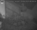Capi_Dubne_20250619_000002.jpg