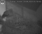 Capi_Dubne_20250619_015002.jpg