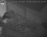 Capi_Dubne_20250619_021502.jpg