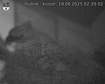 Capi_Dubne_20250619_022002.jpg