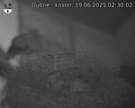 Capi_Dubne_20250619_023002.jpg