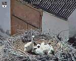 Capi_Dubne_20250619_161502.jpg