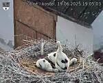 Capi_Dubne_20250619_190503.jpg