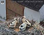 Capi_Dubne_20250619_200002.jpg