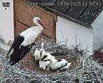 Capi_Dubne_20250619_212003.jpg