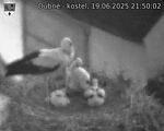 Capi_Dubne_20250619_215002.jpg