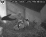 Capi_Dubne_20250619_215503.jpg