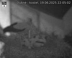 Capi_Dubne_20250619_220502.jpg