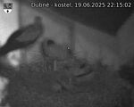 Capi_Dubne_20250619_221502.jpg
