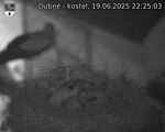 Capi_Dubne_20250619_222503.jpg