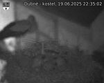 Capi_Dubne_20250619_223502.jpg